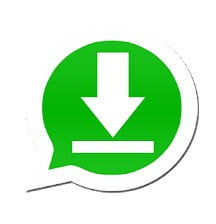 Download Status Whatsapp di HP Android