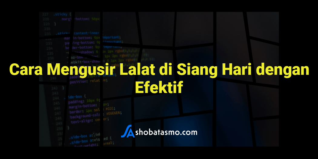 Cara Mengusir Lalat Di Siang Hari Dengan Efektif