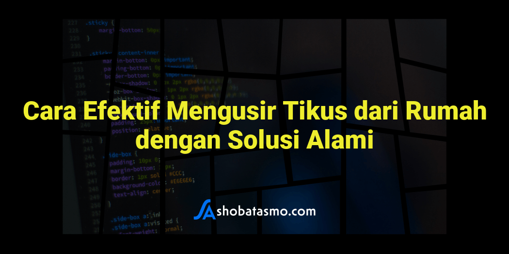 Cara Efektif Mengusir Tikus Dari Rumah Dengan Solusi Alami