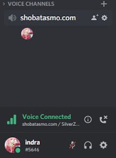 Voice Chat Discord
