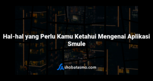 Hal-hal yang Perlu Kamu Ketahui Mengenai Aplikasi Smule