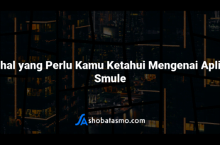 Hal-hal yang Perlu Kamu Ketahui Mengenai Aplikasi Smule