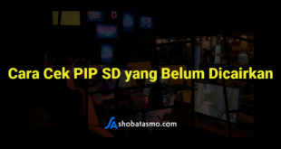 Cara Cek PIP SD yang Belum Dicairkan