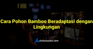 Cara Pohon Bamboo Beradaptasi dengan Lingkungan