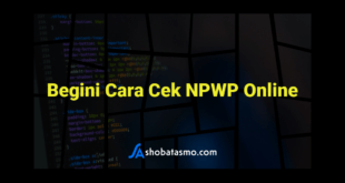 Begini Cara Cek NPWP Online