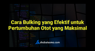Cara Bulking yang Efektif untuk Pertumbuhan Otot yang Maksimal