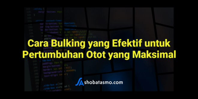 Cara Bulking yang Efektif untuk Pertumbuhan Otot yang Maksimal