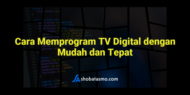 Cara Memprogram TV Digital dengan Mudah dan Tepat