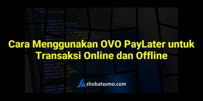 Cara Menggunakan OVO PayLater untuk Transaksi Online dan Offline