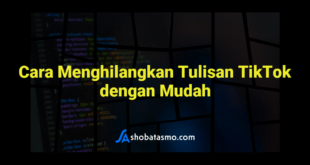 Cara Menghilangkan Tulisan TikTok dengan Mudah