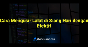 Cara Mengusir Lalat di Siang Hari dengan Efektif