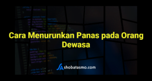 Cara Menurunkan Panas pada Orang Dewasa