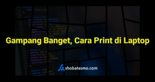 Gampang Banget, Cara Print di Laptop