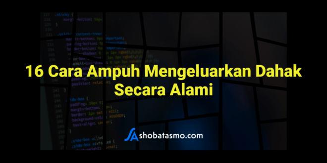 16 Cara Ampuh Mengeluarkan Dahak Secara Alami