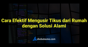Cara Efektif Mengusir Tikus dari Rumah dengan Solusi Alami