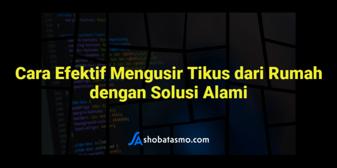 Cara Efektif Mengusir Tikus dari Rumah dengan Solusi Alami