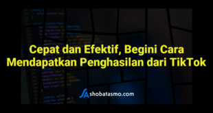 Cepat dan Efektif, Begini Cara Mendapatkan Penghasilan dari TikTok