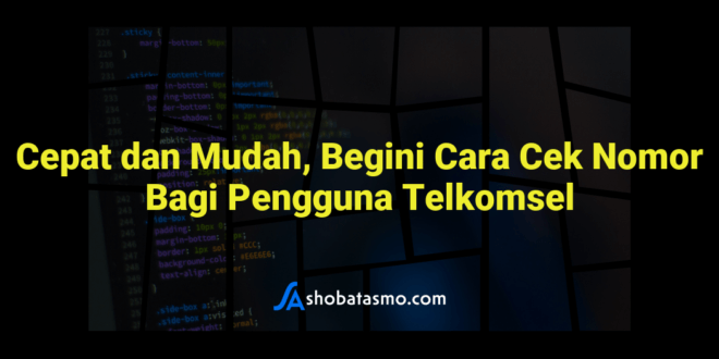 Cepat dan Mudah, Begini Cara Cek Nomor Bagi Pengguna Telkomsel