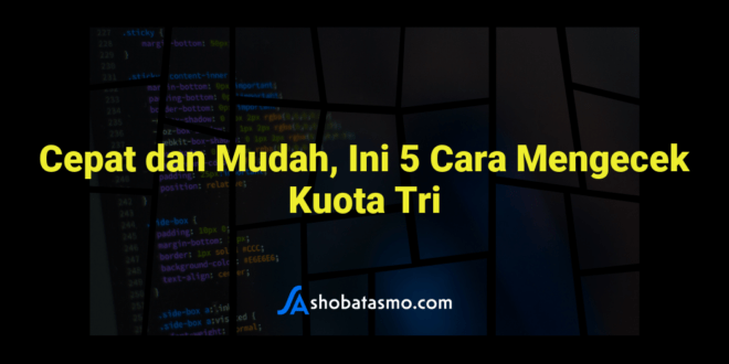 Cepat dan Mudah, Ini 5 Cara Mengecek Kuota Tri