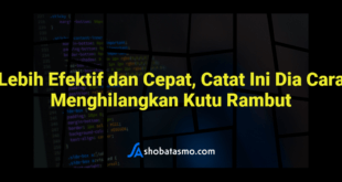 Lebih Efektif dan Cepat, Catat Ini Dia Cara Menghilangkan Kutu Rambut