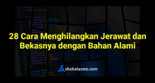 28 Cara Menghilangkan Jerawat dan Bekasnya dengan Bahan Alami