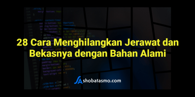 28 Cara Menghilangkan Jerawat dan Bekasnya dengan Bahan Alami