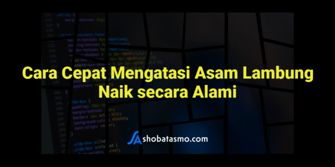 Cara Cepat Mengatasi Asam Lambung Naik secara Alami