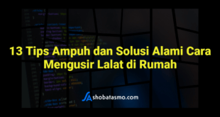 13 Tips Ampuh dan Solusi Alami Cara Mengusir Lalat di Rumah