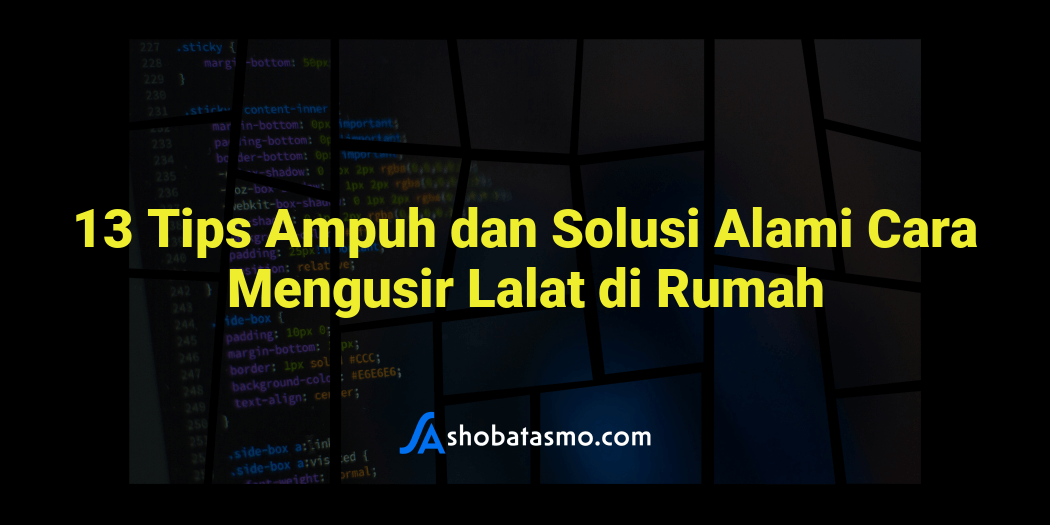 13 Tips Ampuh Dan Solusi Alami Cara Mengusir Lalat Di Rumah