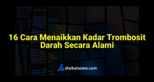 16 Cara Menaikkan Kadar Trombosit Darah Secara Alami