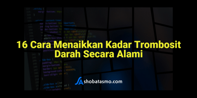 16 Cara Menaikkan Kadar Trombosit Darah Secara Alami