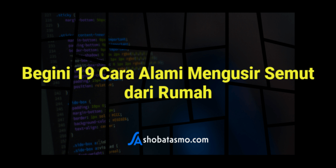 Begini 19 Cara Alami Mengusir Semut dari Rumah