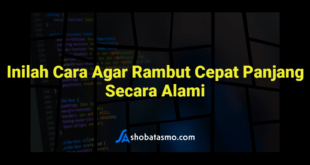 Inilah Cara Agar Rambut Cepat Panjang Secara Alami
