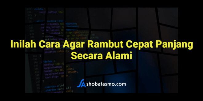 Inilah Cara Agar Rambut Cepat Panjang Secara Alami