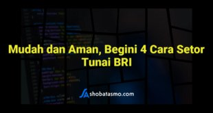 Mudah dan Aman, Begini 4 Cara Setor Tunai BRI