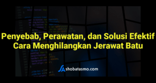Penyebab, Perawatan, dan Solusi Efektif Cara Menghilangkan Jerawat Batu