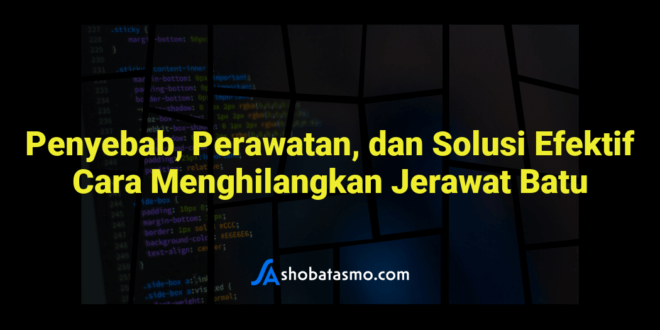 Penyebab, Perawatan, dan Solusi Efektif Cara Menghilangkan Jerawat Batu