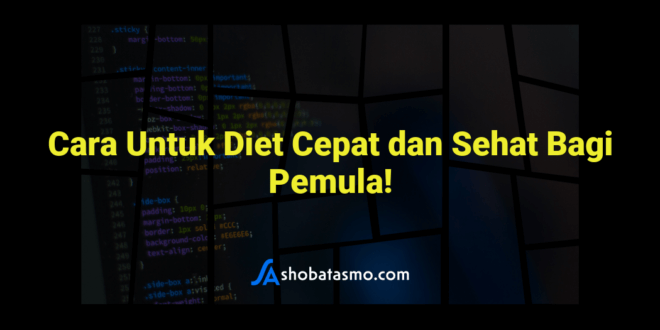 Cara Untuk Diet Cepat dan Sehat Bagi Pemula!