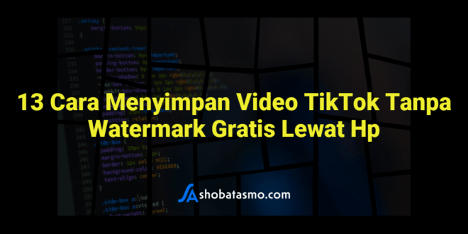 13 Cara Menyimpan Video TikTok Tanpa Watermark Gratis Lewat Hp