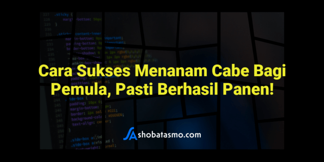 Cara Sukses Menanam Cabe Bagi Pemula, Pasti Berhasil Panen!