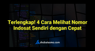Terlengkap! 4 Cara Melihat Nomor Indosat Sendiri dengan Cepat
