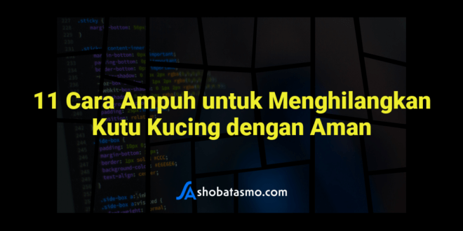 11 Cara Ampuh untuk Menghilangkan Kutu Kucing dengan Aman