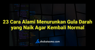 23 Cara Alami Menurunkan Gula Darah yang Naik Agar Kembali Normal