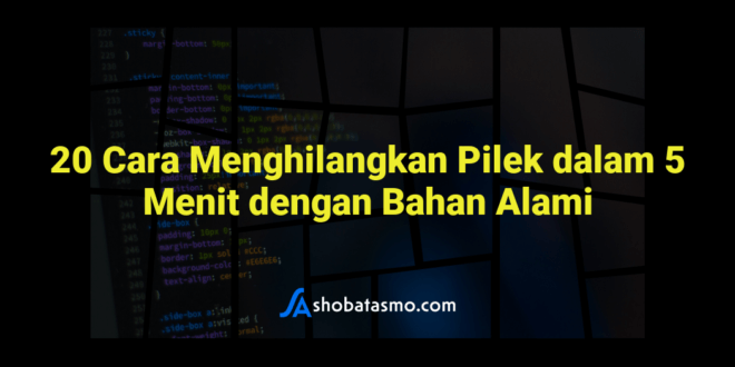 20 Cara Menghilangkan Pilek dalam 5 Menit dengan Bahan Alami