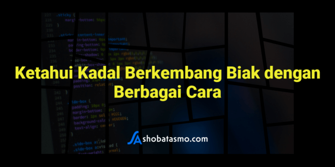 Ketahui Kadal Berkembang Biak dengan Berbagai Cara