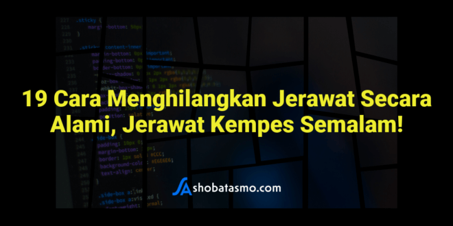 19 Cara Menghilangkan Jerawat Secara Alami, Jerawat Kempes Semalam!