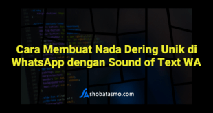 Cara Membuat Nada Dering Unik di WhatsApp dengan Sound of Text WA